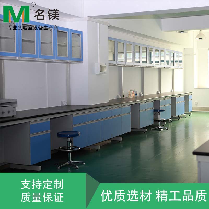 東莞實(shí)驗(yàn)臺(tái)實(shí)驗(yàn)室家具中央實(shí)驗(yàn)臺(tái)